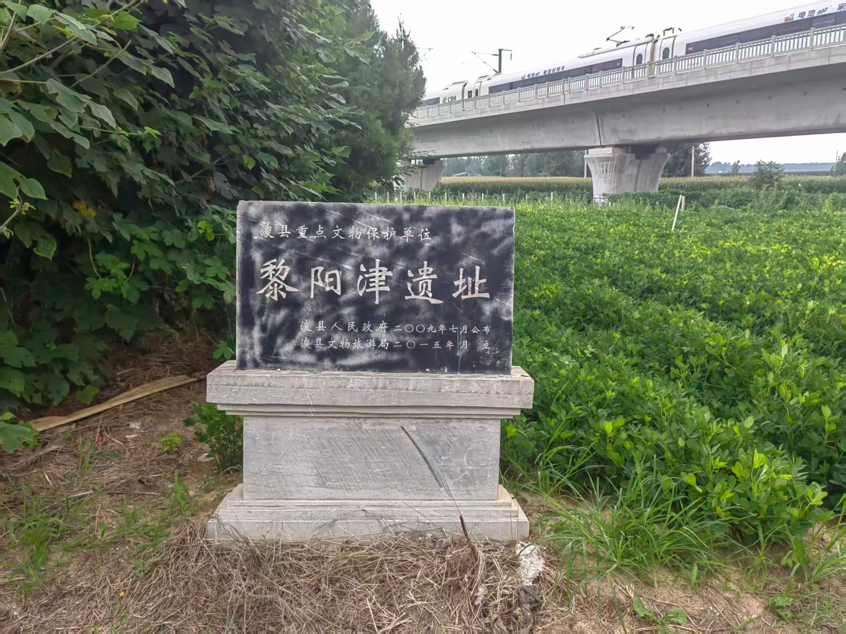 1787120551667826.png 图片1.png